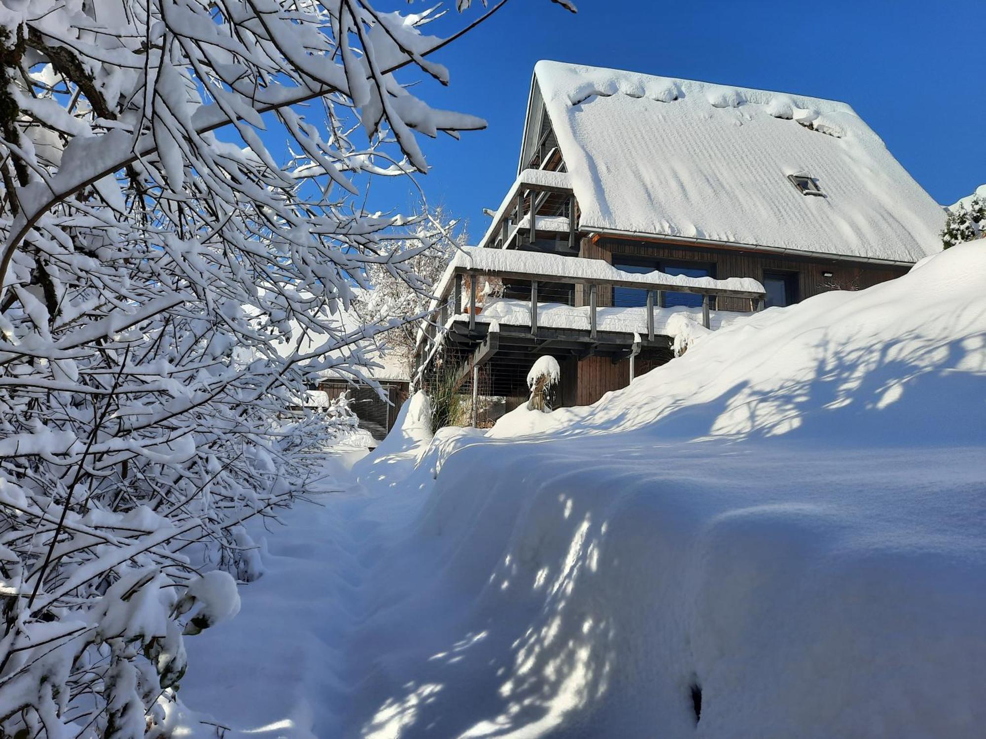 Haus Mit Bergblick Villa Siegsdorf Exterior foto